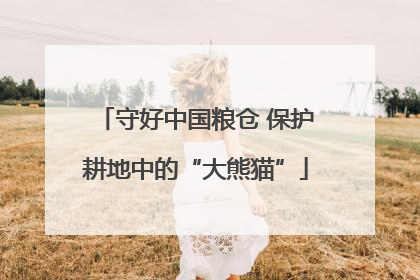 守好中国粮仓 保护耕地中的“大熊猫”