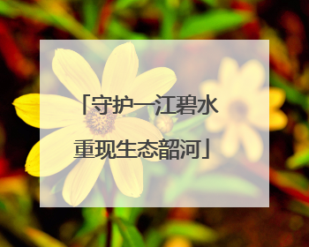 守护一江碧水 重现生态韶河