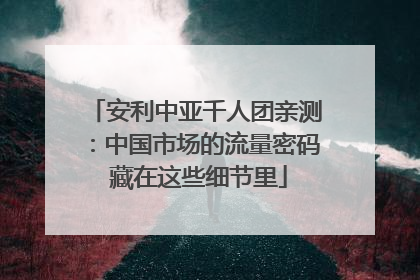 安利中亚千人团亲测：中国市场的流量密码 藏在这些细节里