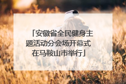 安徽省全民健身主题活动分会场开幕式在马鞍山市举行