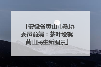 安徽省黄山市政协委员俞娟：茶叶绘就黄山民生新图景