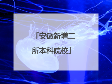 安徽新增三所本科院校