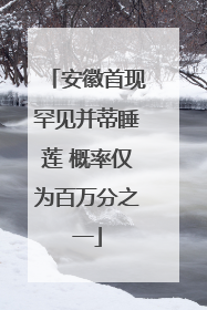 安徽首现罕见并蒂睡莲 概率仅为百万分之一