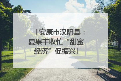 安康市汉阴县：夏果丰收忙“甜蜜经济”促振兴