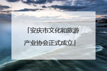 安庆市文化和旅游产业协会正式成立