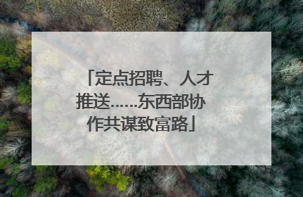 定点招聘、人才推送……东西部协作共谋致富路