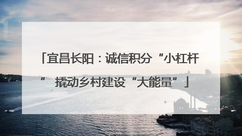 宜昌长阳：诚信积分“小杠杆” 撬动乡村建设“大能量”