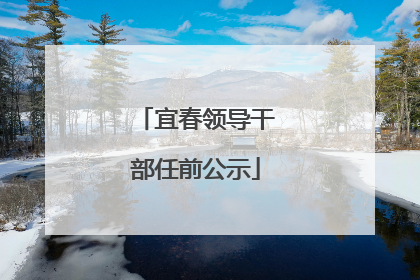 宜春领导干部任前公示