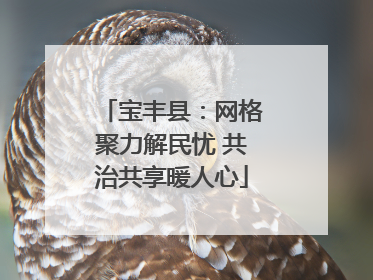 宝丰县：网格聚力解民忧 共治共享暖人心