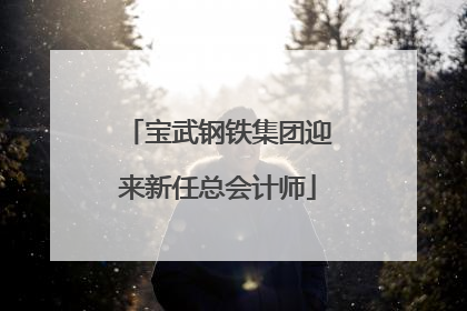 宝武钢铁集团迎来新任总会计师
