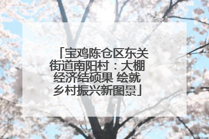 宝鸡陈仓区东关街道南阳村：大棚经济结硕果 绘就乡村振兴新图景