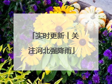 实时更新丨关注河北强降雨