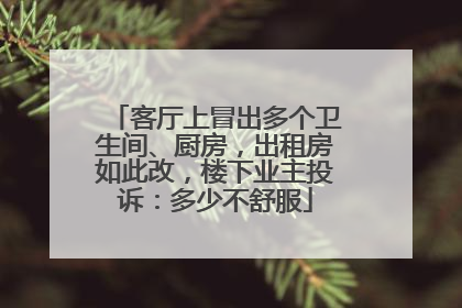 客厅上冒出多个卫生间、厨房，出租房如此改，楼下业主投诉：多少不舒服