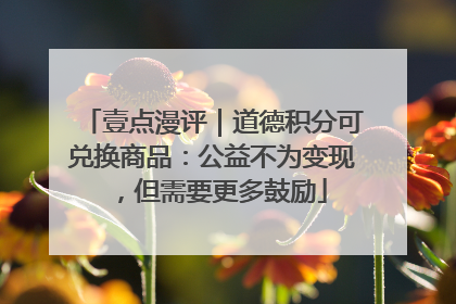 壹点漫评｜道德积分可兑换商品：公益不为变现，但需要更多鼓励