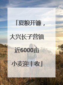夏粮开镰，大兴长子营镇近6000亩小麦迎丰收