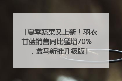 夏季蔬菜又上新！羽衣甘蓝销售同比猛增70%，盒马新推升级版