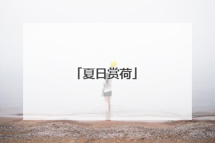 夏日赏荷
