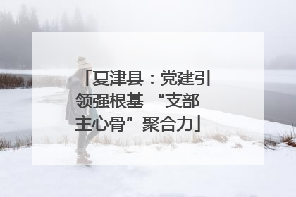 夏津县：党建引领强根基 “支部主心骨”聚合力