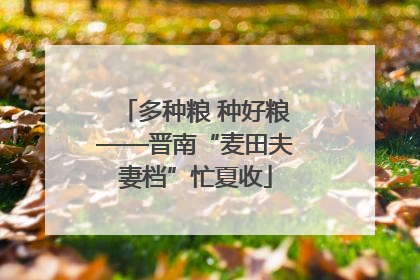 多种粮 种好粮——晋南“麦田夫妻档”忙夏收