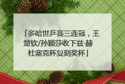 多哈世乒赛三连冠，王楚钦/孙颖莎收下兹·赫杜塞克杯复刻奖杯