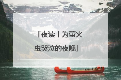 夜读丨为萤火虫哭泣的夜晚