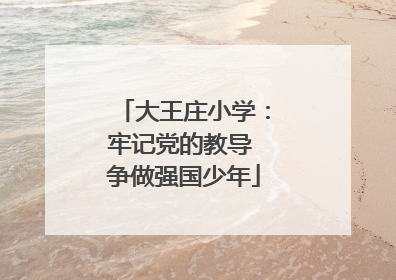大王庄小学：牢记党的教导 争做强国少年