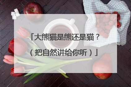 大熊猫是熊还是猫？（把自然讲给你听）