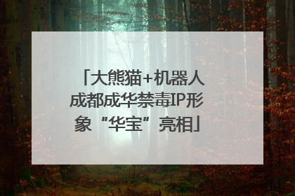 大熊猫+机器人 成都成华禁毒IP形象“华宝”亮相