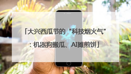 大兴西瓜节的“科技烟火气”：机器狗搬瓜、AI摊煎饼