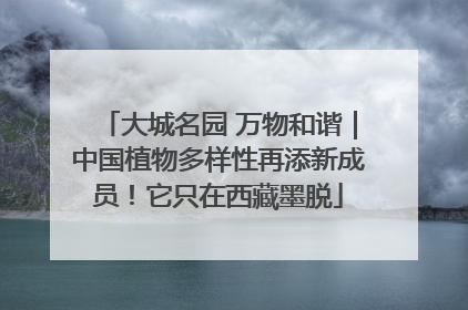 大城名园 万物和谐｜中国植物多样性再添新成员！它只在西藏墨脱