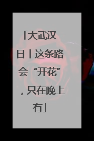 大武汉一日丨这条路会“开花”，只在晚上有
