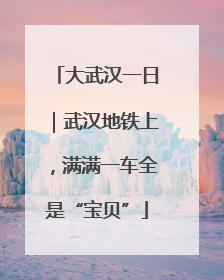 大武汉一日｜武汉地铁上，满满一车全是“宝贝”