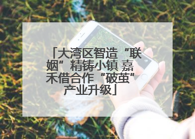 大湾区智造“联姻”精铸小镇 嘉禾借合作“破茧”产业升级