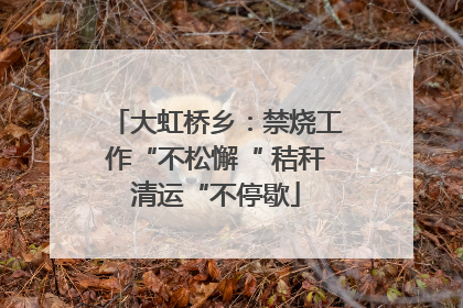 大虹桥乡：禁烧工作“不松懈“ 秸秆清运“不停歇