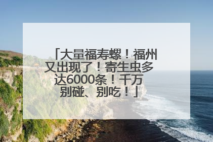 大量福寿螺！福州又出现了！寄生虫多达6000条！千万别碰、别吃！