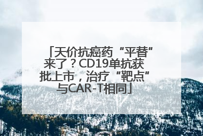 天价抗癌药“平替”来了？CD19单抗获批上市，治疗“靶点”与CAR-T相同