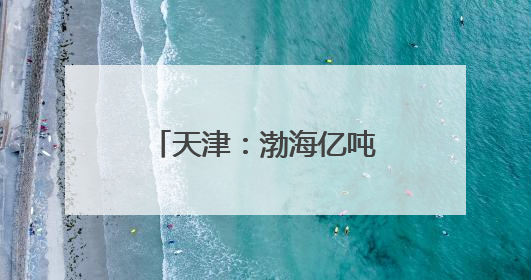 天津：渤海亿吨级油田海上平台陆地建造工作收官