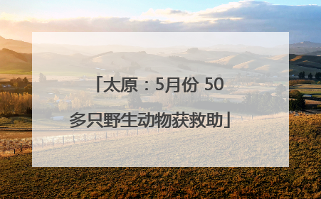 太原：5月份 50多只野生动物获救助
