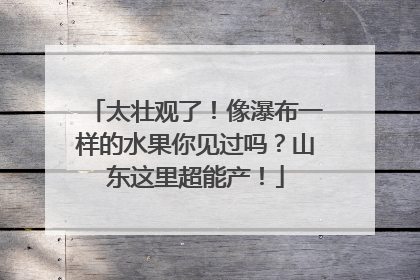 太壮观了！像瀑布一样的水果你见过吗？山东这里超能产！