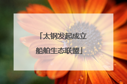 太钢发起成立船舶生态联盟