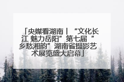 央媒看湖南丨“文化长江 魅力岳阳”第七届“乡愁湘韵”湖南省摄影艺术展览盛大启幕