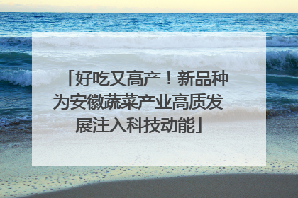 好吃又高产！新品种为安徽蔬菜产业高质发展注入科技动能