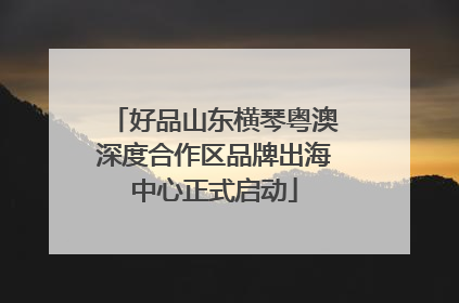 好品山东横琴粤澳深度合作区品牌出海中心正式启动