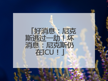 好消息：尼克斯逃过一劫！坏消息：尼克斯仍在ICU！