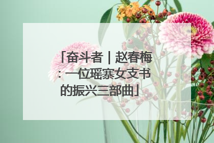 奋斗者｜赵春梅：一位瑶寨女支书的振兴三部曲