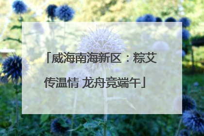 威海南海新区：粽艾传温情 龙舟竞端午