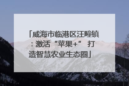 威海市临港区汪疃镇：激活“苹果+” 打造智慧农业生态圈
