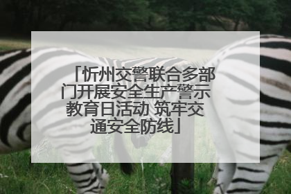 忻州交警联合多部门开展安全生产警示教育日活动 筑牢交通安全防线