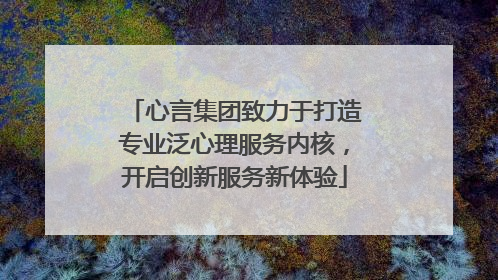 心言集团致力于打造专业泛心理服务内核，开启创新服务新体验