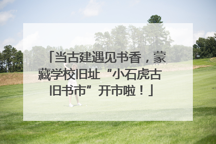 当古建遇见书香，蒙藏学校旧址“小石虎古旧书市”开市啦！